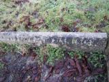 image of grave number 609482